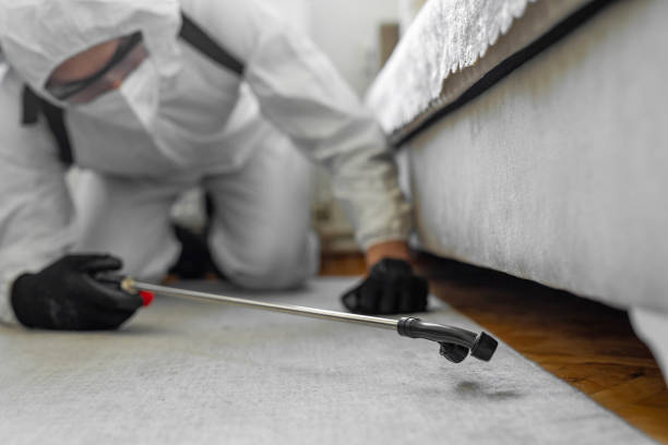 Professional Bed Bug Control technician working in Hartley, IA